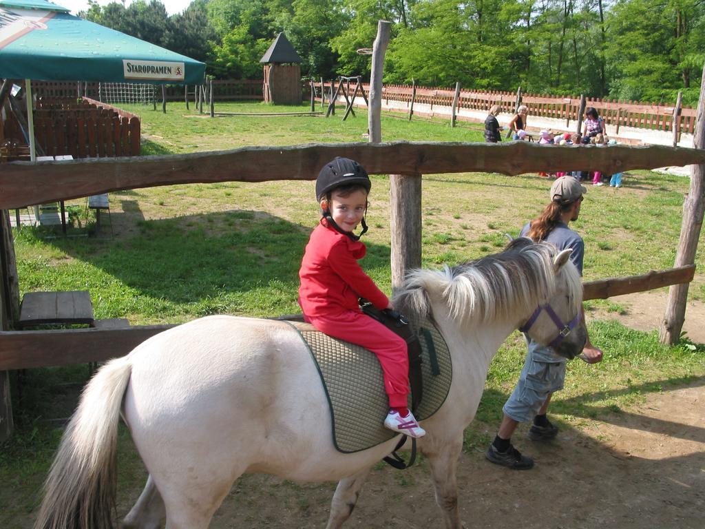 Вилла Zoopark Zelcin Мельник Экстерьер фото
