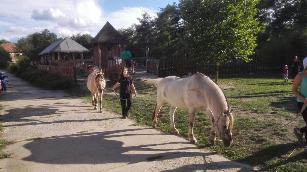 Вилла Zoopark Zelcin Мельник Экстерьер фото